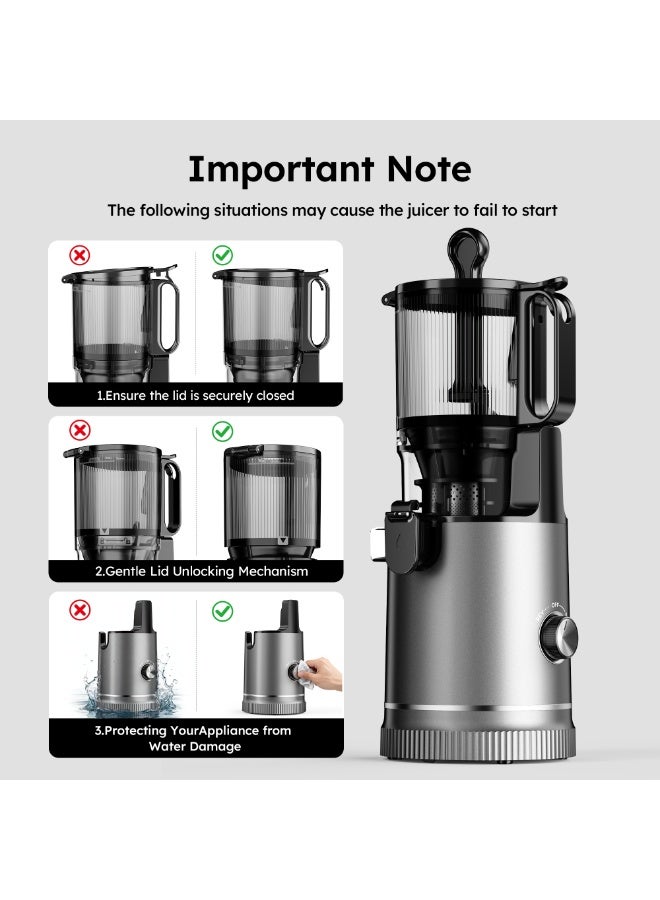 Icyglee Slow Masticating Juicer Extractor 99.6% High Juice Yield Pulp-free, Slow Juicer for Fruit and Vegetables, Fruit Juicer with 13cm Wide Feed Chute, 150W  Cold Press Juicer  BPA Free - Image 5